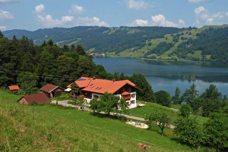 foto11