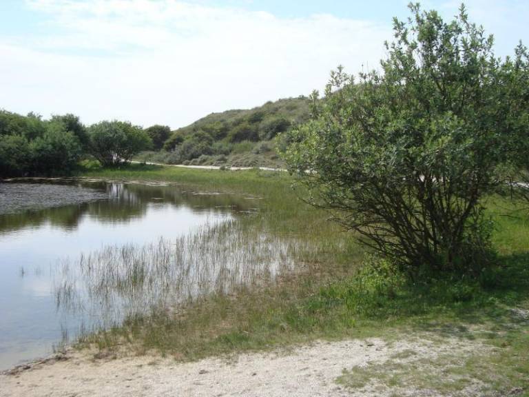 foto13