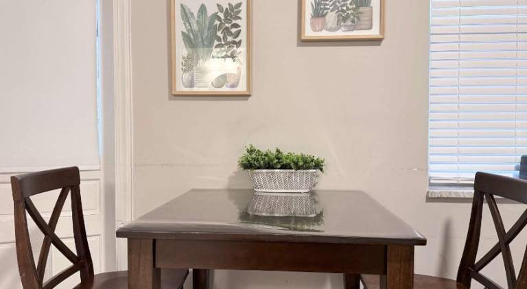 Carytown cozy nest private room Fenced Yard — photo 3