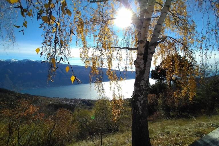 foto24