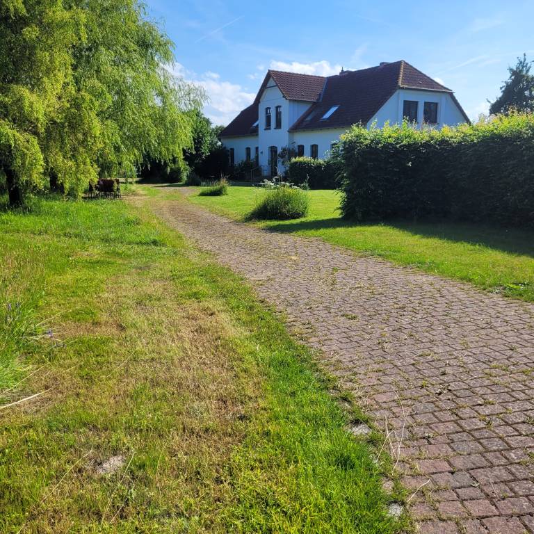 foto19