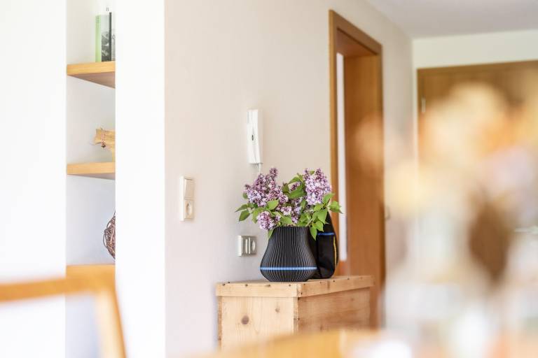 Ferienwohnung  Mellau