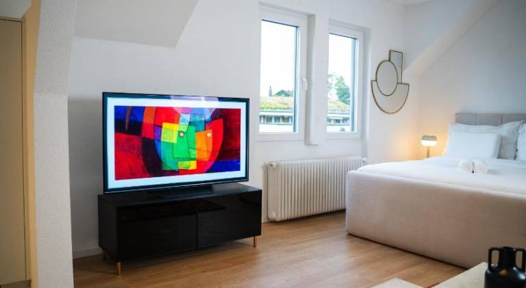 Apartment | Pets are welcome in Solothurn