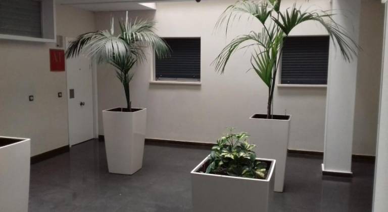 foto5