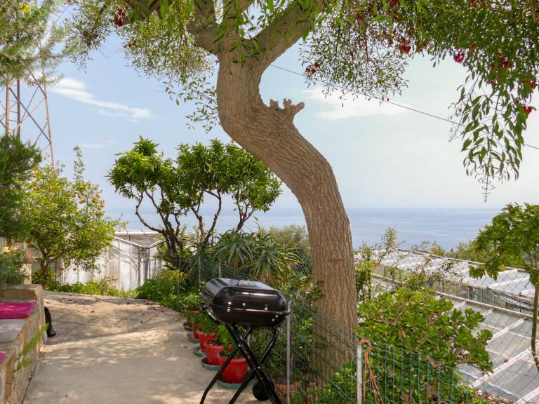 Vacation home with patio, grill & garden | Sea view | Pets are welcome — photo 3