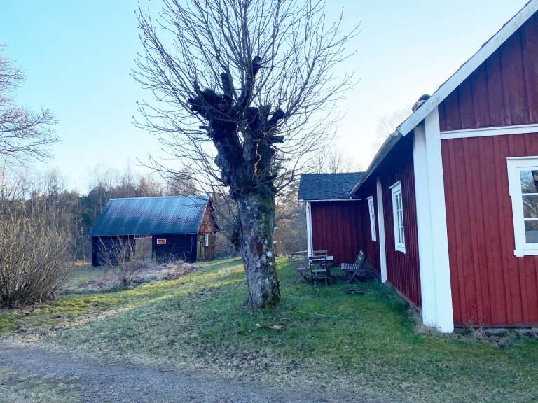 Ferienhaus Markaryd