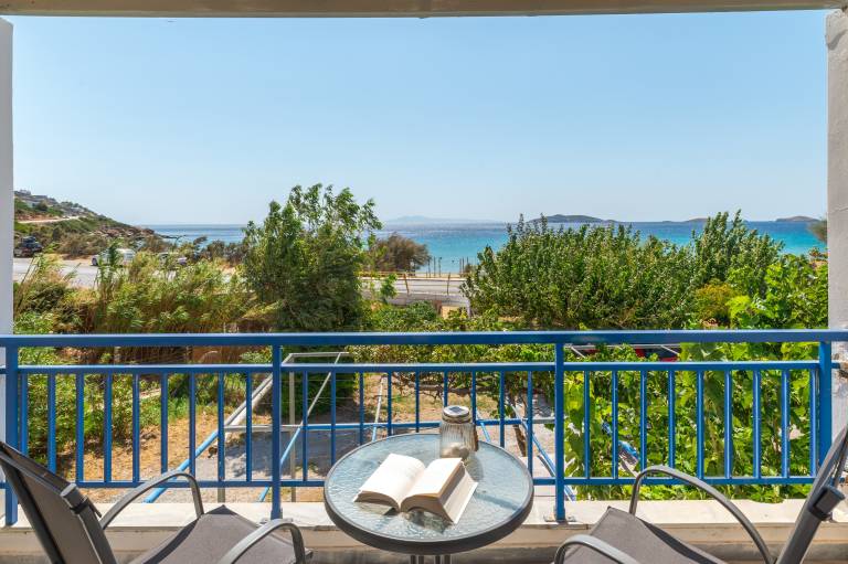 Pleasant house with fast internet, garden & terrace | Garden view | Close to the beach | Pet-friendly in Andros