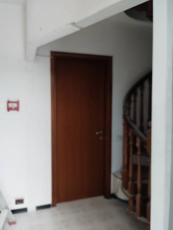foto16