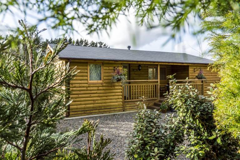 Family-oriented charming chalet with barbecue, fast internet & yard | Pets allowed in Tenby