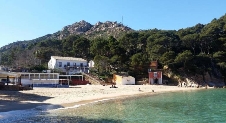 Wonderful holiday apartment | Next to the beach | Pets allowed — photo 4