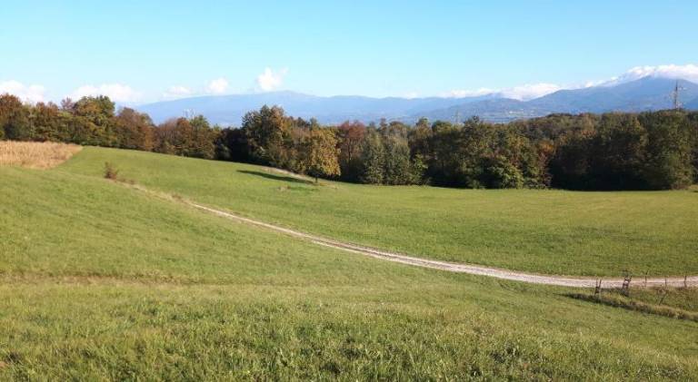 foto43