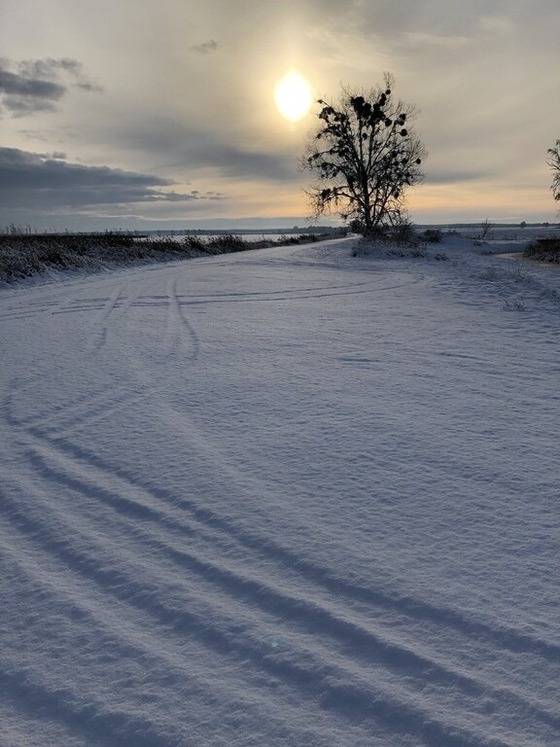 foto17