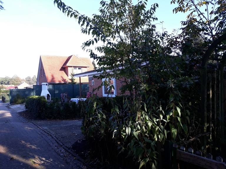 foto14
