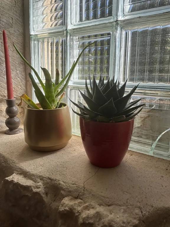 foto22