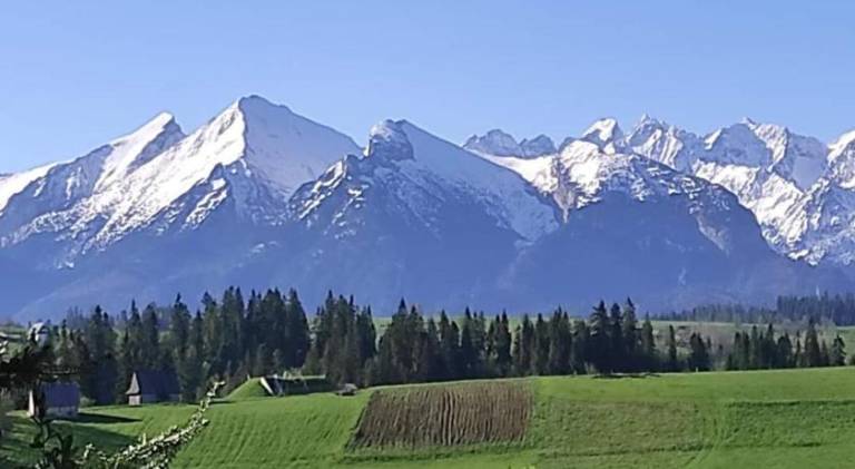 Tatrzanskie Widoki Bukowina Tatrzanska in Bukowina Tatrzanska