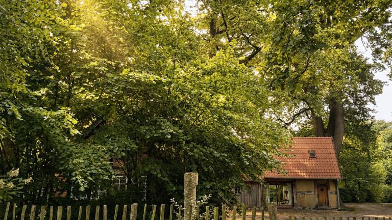 Ferienhaus Sulingen