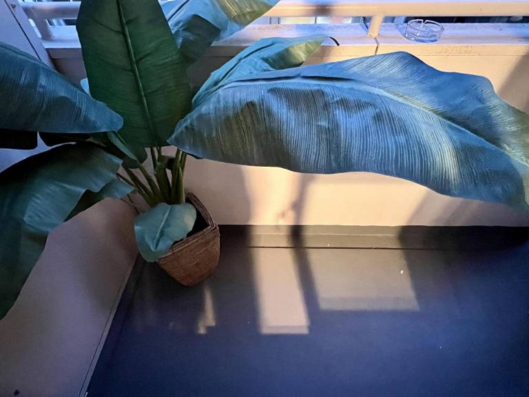 foto17