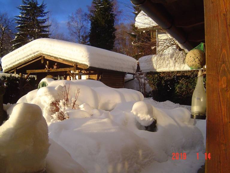 foto11