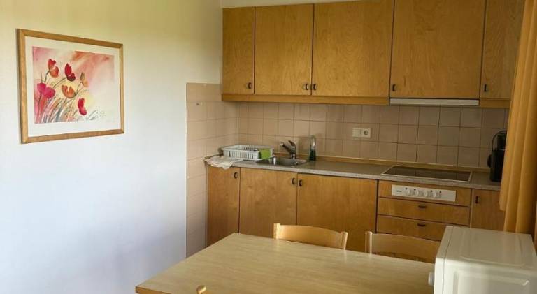 House with barbecue, yard & terrace — photo 4