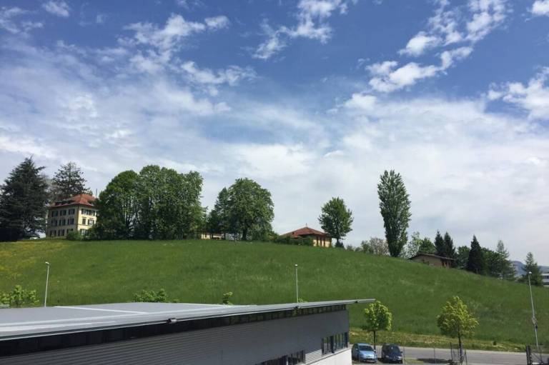 foto19