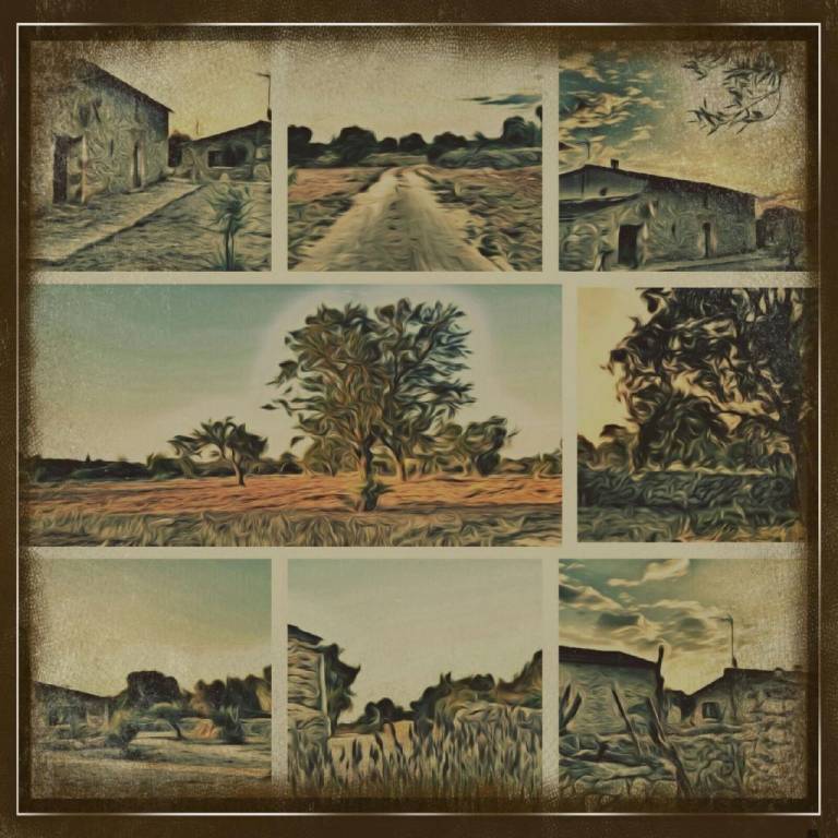 foto7