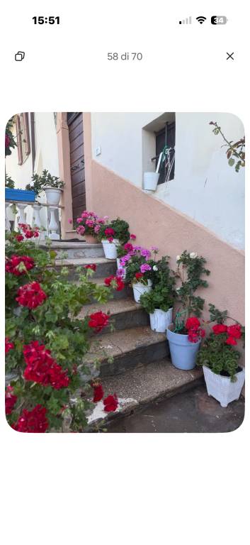 Holiday apartment with garden | Nature view | Pet-friendly — photo 3