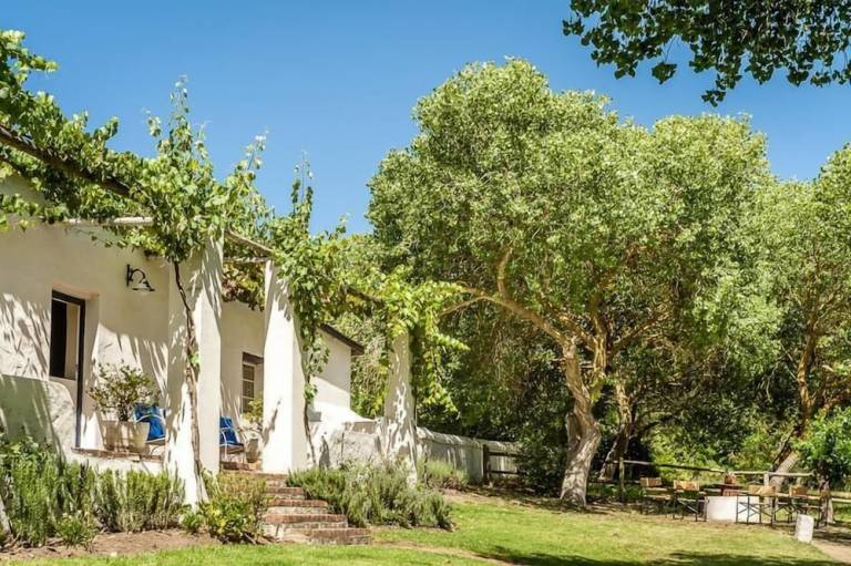 Bed & Breakfast  Stellenbosch