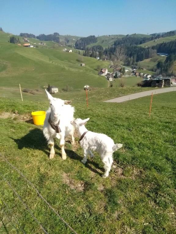 foto23