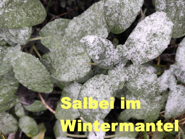 foto22