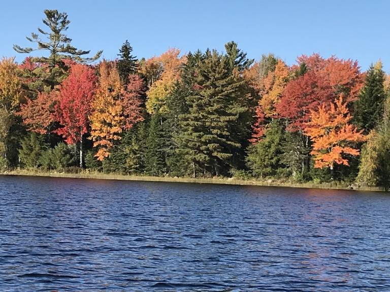 House Grand Lake Stream