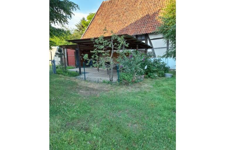 foto19