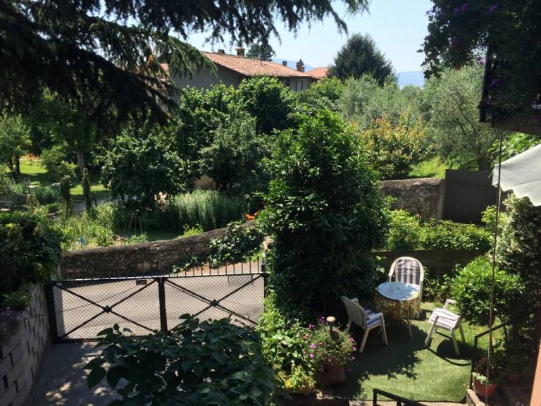 foto36