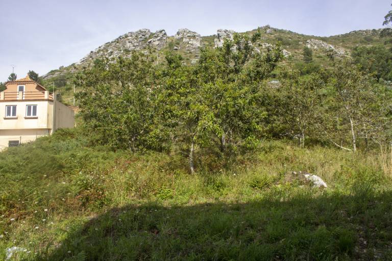 foto18