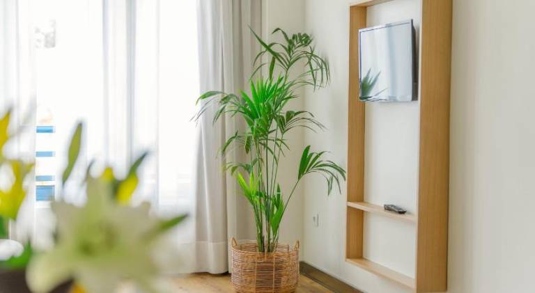 Charming holiday apartment with pool | Pet-friendly — photo 5