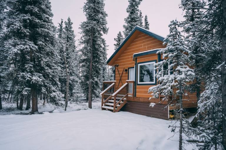 Cabin  Healy
