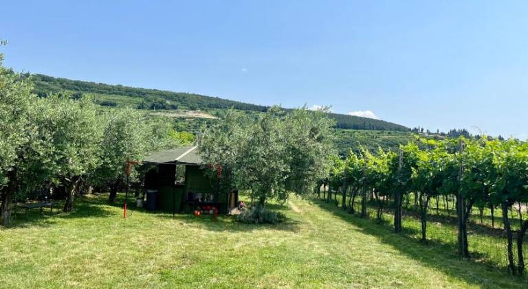 foto14