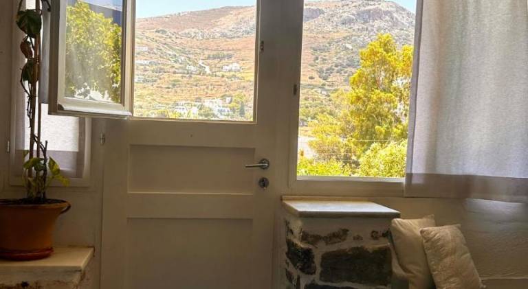 Jasmine of Cyclades — photo 5