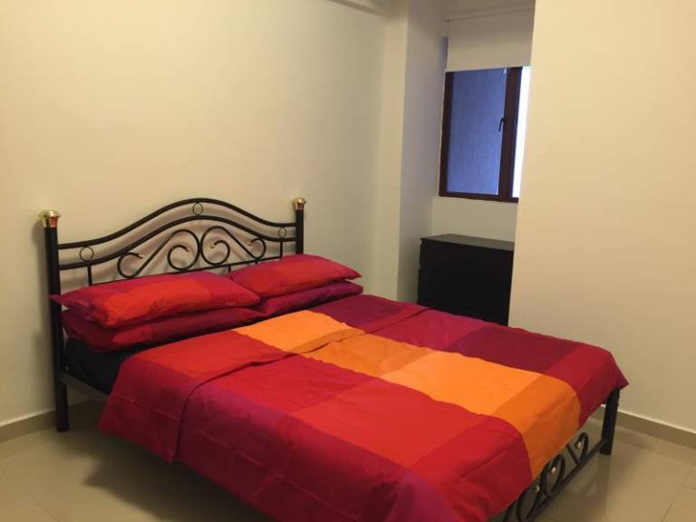 foto11