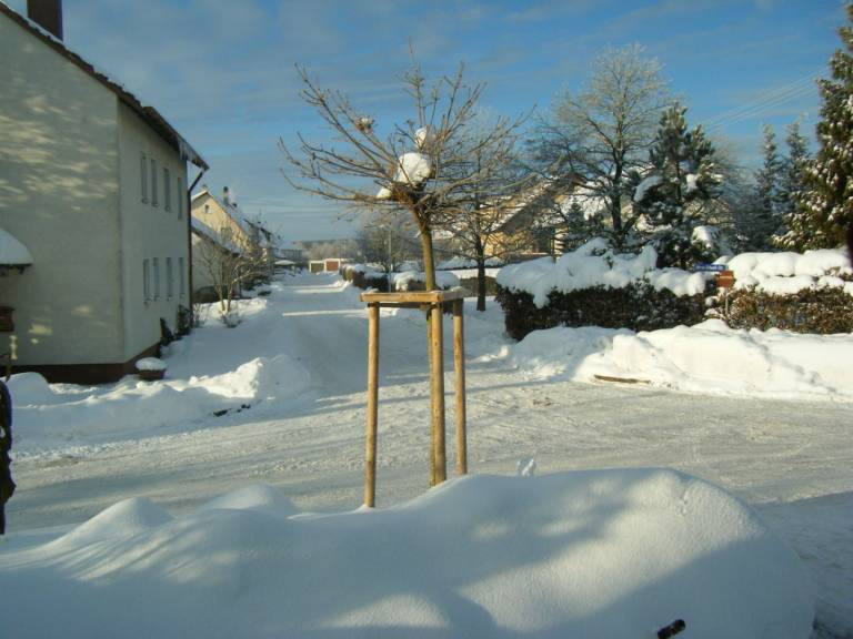 foto21