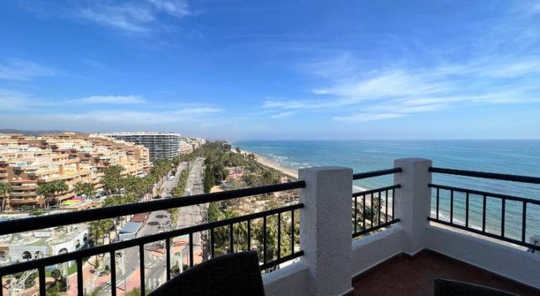 Pleasant rental apartment with pool | Close to the beach | Pets are welcome — photo 3