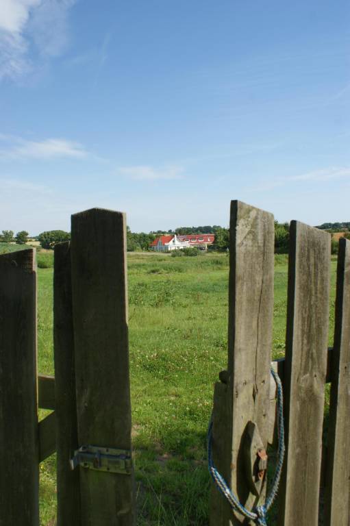 foto5