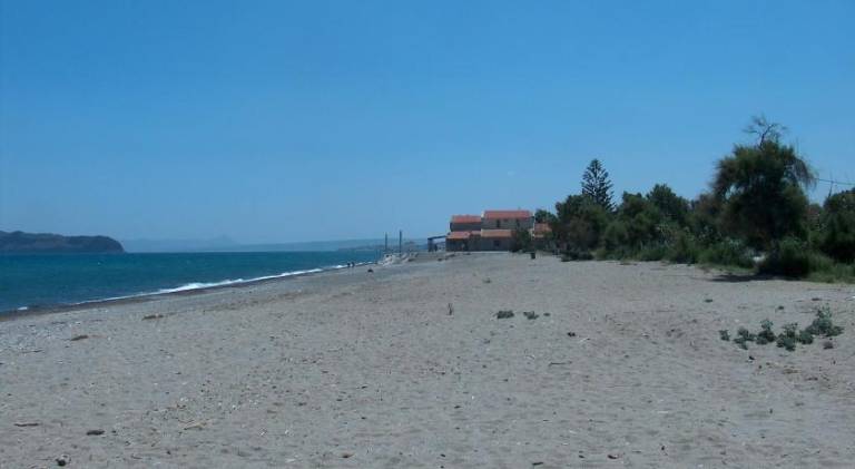 Wonderful serviced apartment with patio, yard & pool | Close to the beach | Pet-friendly — photo 5