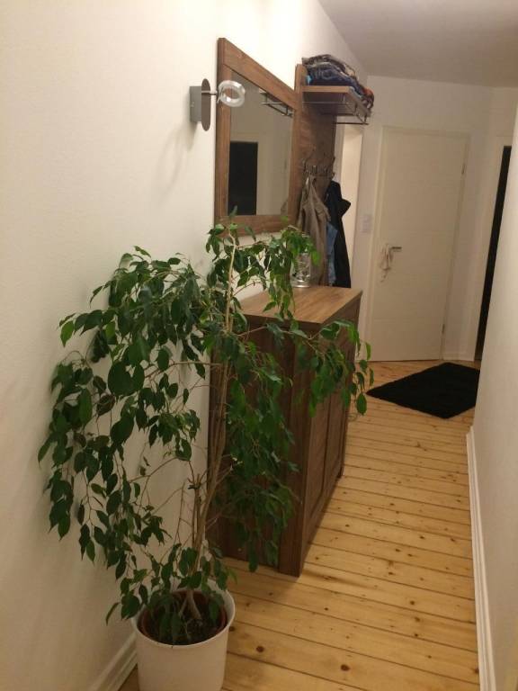 foto10