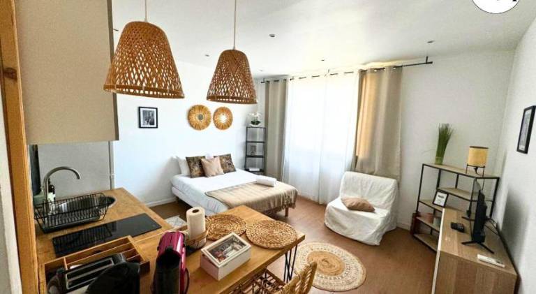 Holiday apartment | Next to Palais Longchamp | Pet-friendly in Marseille