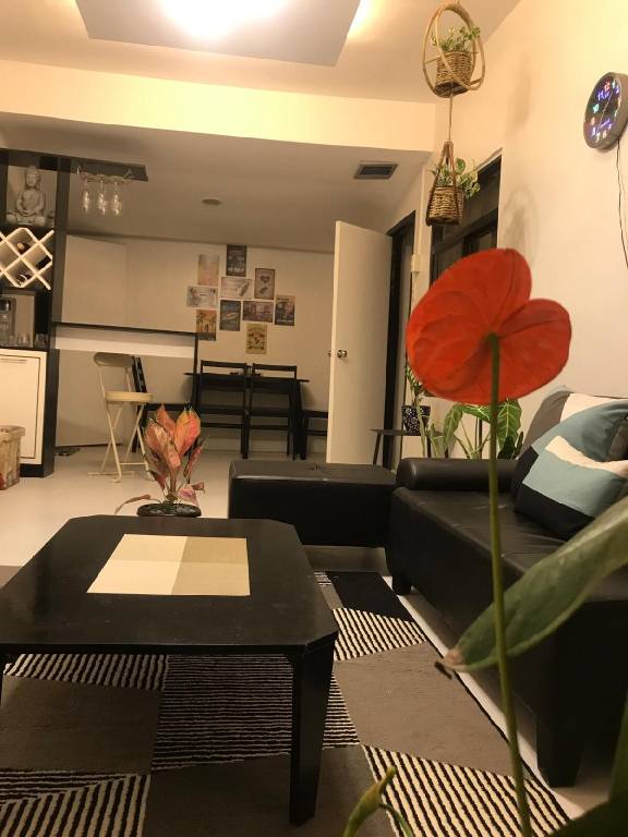 foto10