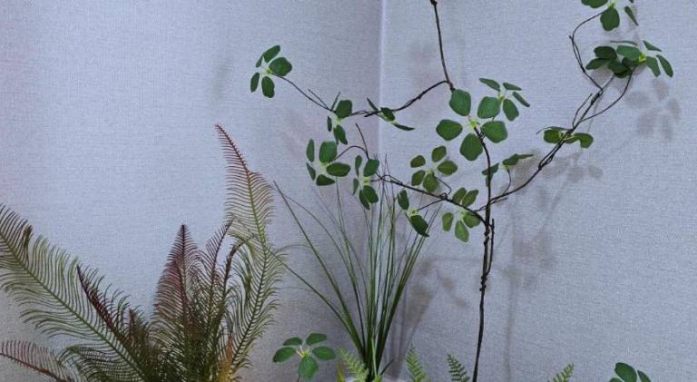 foto14