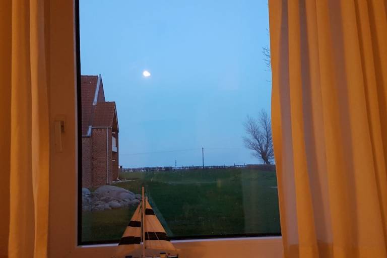 foto17