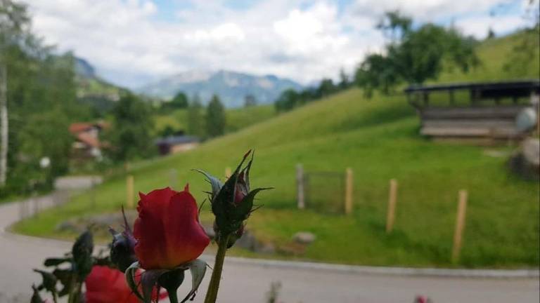 Ferienhaus  Sonthofen