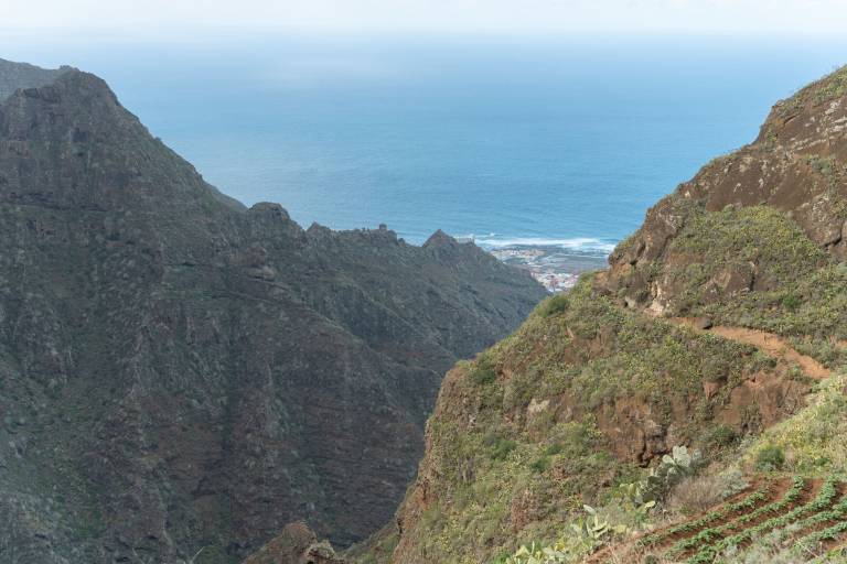 Casa Punta del Hidalgo
