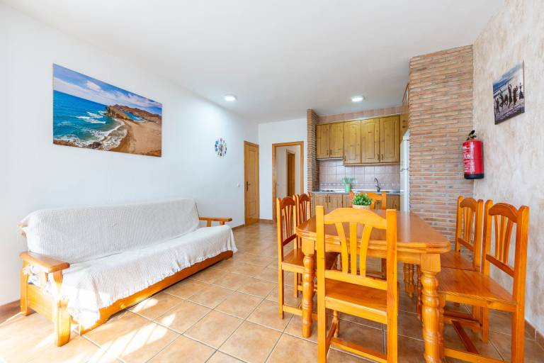 Apartment with terrace — photo 4